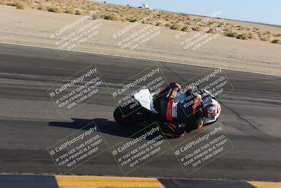 media/Nov-12-2023-SoCal Trackdays (Sun) [[5d1fba4e7d]]/Turn 14 Inside (2pm)/